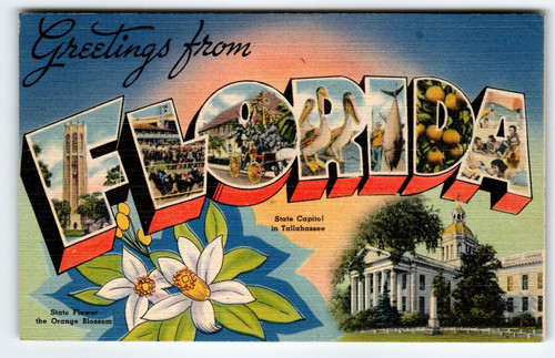 Greetings From Florida Everglade State Large Letter Linen Postcard 1947 Vintage