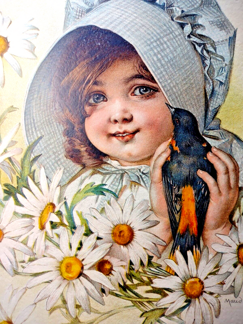 Victorian Art Print Daisy Girl Blackbird Lithograph 1907 Maud Humphrey Original