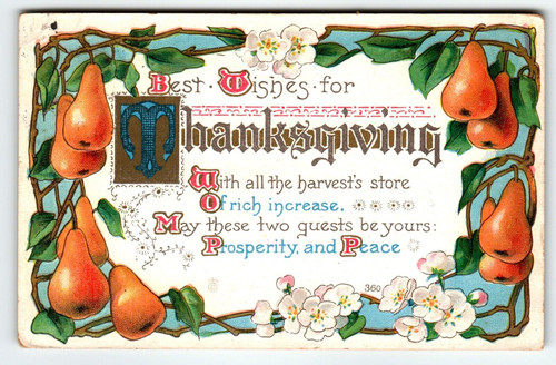 Thanksgiving Wishes Postcard 1911 Pears On Vines Flowers Series 360 Embossed