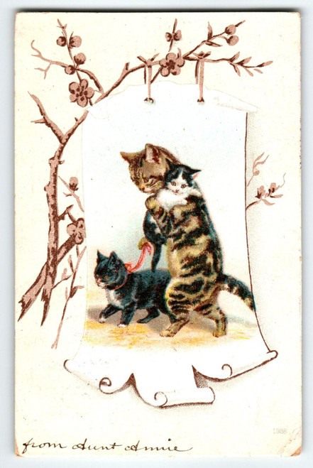 Standing Mother Cat Walks and Holds Baby Kittens Postcard 1907 Undivided Back