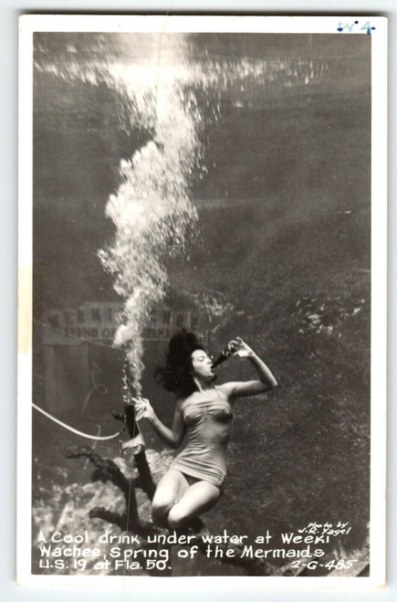 Weeki Wachee Mermaid Real Photo Florida Postcard Lady Drinks Underwater RPPC