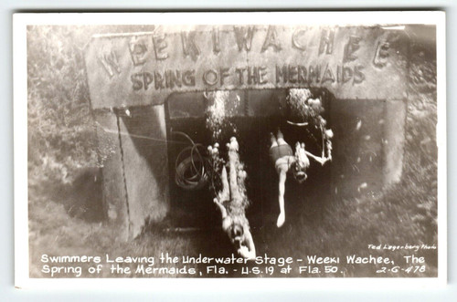 Weeki Wachee Mermaids Real Photo Postcard Underwater Stage Show RPPC Florida