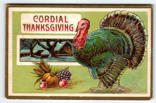 Thanksgiving Greetings Postcard Pumpkin Turkey Embossed 1911 Barton & Spooner
