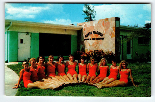 Weeki Wachee Mermaids Florida Postcard Women Lined Up In Swimsuits Chrome Unused
