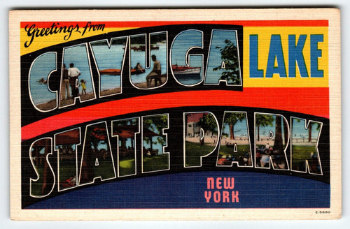 Greetings From Cayuga Lake State Park New York Large Big Letter Linen Postcard