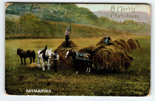 Christmas Postcard Horses Rustic Country Haymaking Wildt & Kray Germany Antique