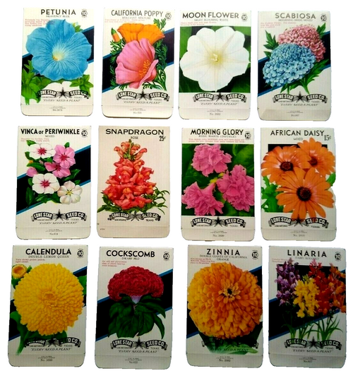 Vintage 1950's Flower Seed Packs EMPTY Lot 12 Petunia Poppy Moon African Daisy