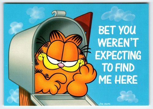 Garfield Cat Postcard Inside Mailbox Jim Davis 1978 Orange Tabby Cartoon NOS