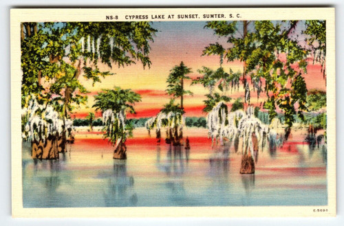 Cypress Lake At Sunset Sumter South Carolina Linen Postcard SC Vintage Unused