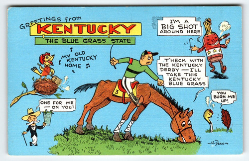 Greetings From Kentucky Jockey Horse Anthropomorphic Postcard Linen Kropp H Dean