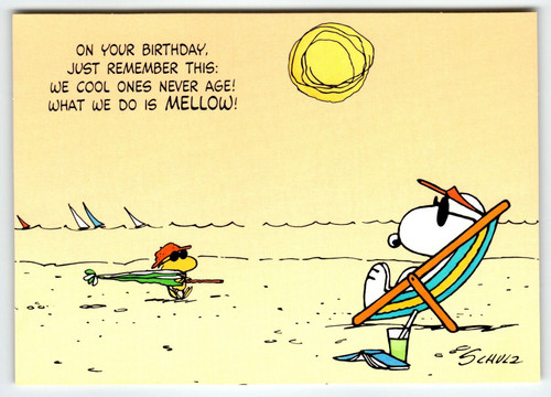 Snoopy and Woodstock Peanuts On The Beach Birthday Postcard Unused Cool Ones