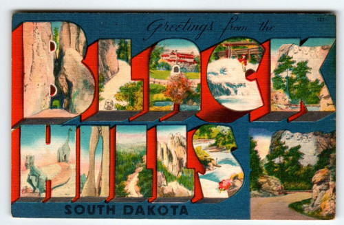 Greetings From Black Hills South Dakota Large Letter Postcard Linen Dark Blue