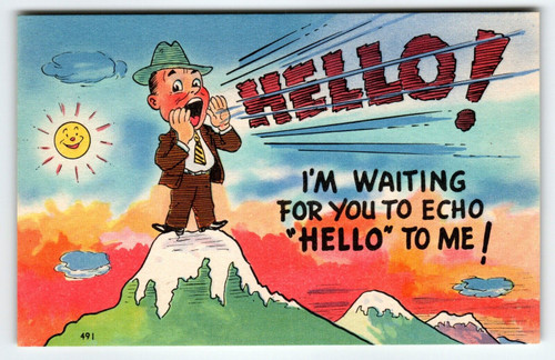 Hello I'm Waiting For You To Echo Man On Mountain Sun Linen Comical Postcard