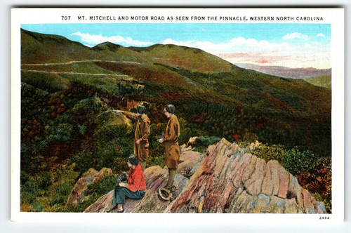 Mt. Mitchell And Motor Road The Pinnacle Western North Carolina Linen Postcard