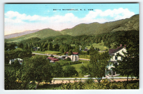 Vintage Postcard “A Waynesville, N.C. View” – Deuel News Co. / E.C. Kropp – NOS