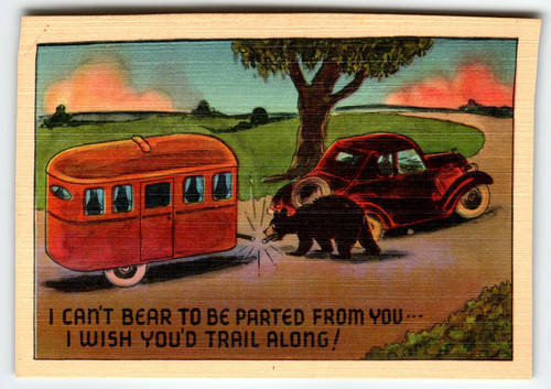 I Can't Bear to Be Parted From You... I Wish You'd Trail Along! Linen Postcard