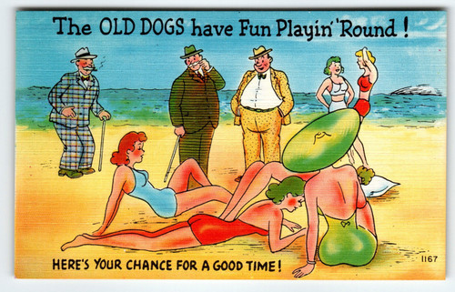 The Old Dogs Have Fun Playin' Round! - Here's Your Chance Linen Postcard 1940's