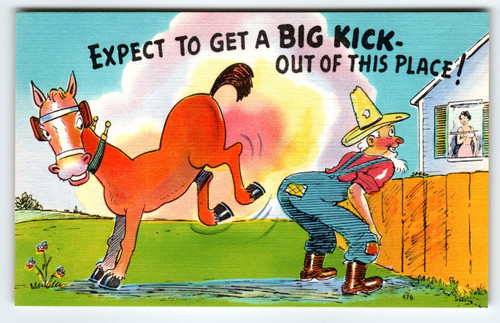 Expect to Get a Big Kick Out of This Place! Linen Postcard Horse Kicks Cowboy