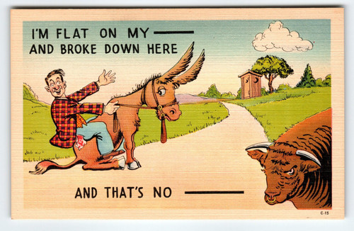 I'm Flat on My ___ and Broke Down Here Man Rides Donkey Linen Postcard - 1940's