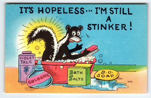 It's Hopeless I'm Still a Stinker! Postcard 1940's Linen Comcial Greetings Skunk