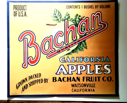 Vintage Bachan Apple Fruit Crate Label 1940s Original Art Watsonville California