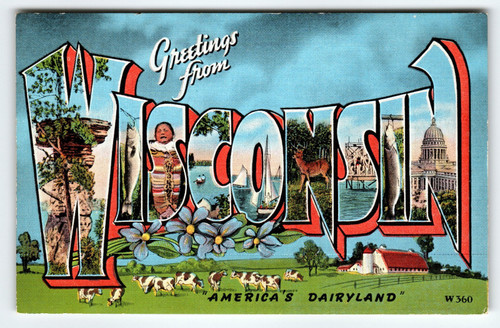 Greetings From Wisconsin American's Dairyland Cows Large Letter Postcard Kropp