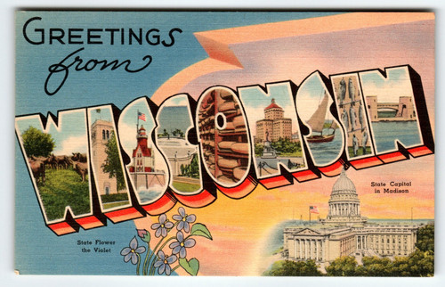 Greetings From Wisconsin State Flower Violet Large Big Letter Postcard Tichnor