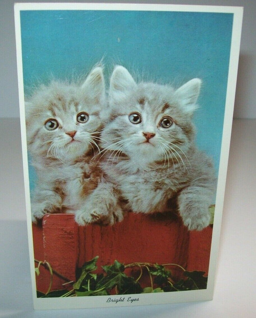 Christmas Postcard 2 Kittens Bright Eyes Art Creation 1980's Smokey Grey Cats