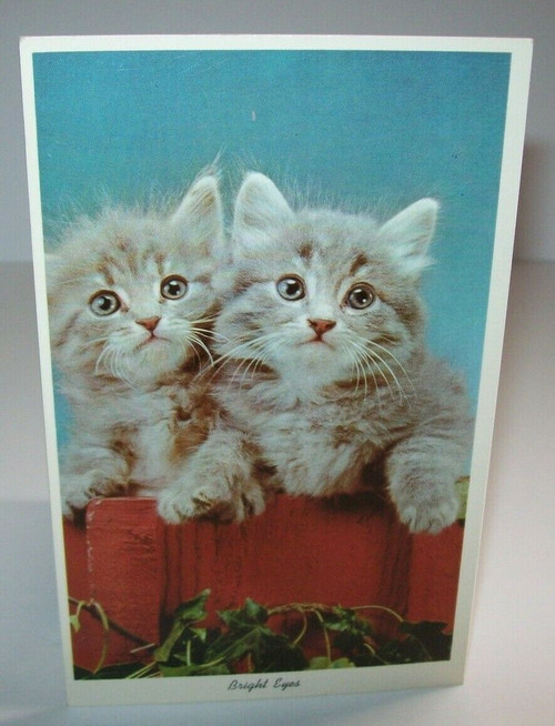 Christmas Postcard 2 Kittens Bright Eyes Art Creation 1980's Smokey Grey Cats