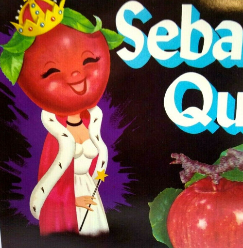Big Apple Queen Humanized Anthropomorphic Sebastopol Crate Label Original 1950's