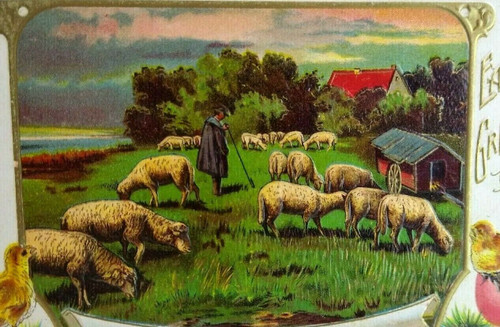 Easter Postcard Sheep Chick Farmland Countryside Rustic View Embossed Original