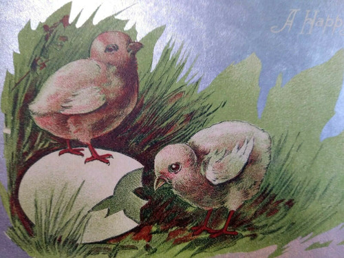 Easter Postcard Vintage Baby Chicks Cracked Egg Original Vintage Silver Linen