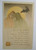 Antique Halloween Postcard Gibson Gothic People In Capes Moon Bat Original 1910