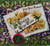 New Years Postcard Purple Green Floral Newspaper Series 2166 San Francisco 1910
