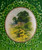 Saint Patrick's Day Postcard Fabric Oval Country View Embossed Vintage Original