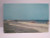 Rehoboth Beach Delaware Postcard Riding The Breakers Surfers Atlantic Ocean Surf