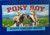 Pony Boy Honeydew Melons Children On Ponies Horses Fruit Crate Vintage 1950's