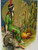 John Winsch Thanksgiving Postcard Schmucker Fantastic Big Gold Sun 1912 Denver