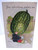 Fantasy Postcard Tuck E Curtis Melon Head Anthropomorphic Garden Patch Series 2