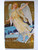 Angel Flying Over Village Christmas Fantasy Postcard Embossed 1910 Silver Stars