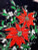 Mid Century Mod Christmas Greeting Card Gleam N Glitter Poinsettia Flowers Retro