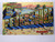Greetings From St Petersburg Florida Large Big Letter Linen Postcard Curt Teich
