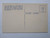 Greetings From West Yellowstone Park Montana Postcard Large Letter Curt Teich