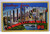 Greetings From Williamsport Pennsylvania Large Big Letter Postcard Linen PA