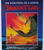 Dragons Lair Arcade Flyer Original Video Laser Game Artwork 1982 Starcom Retro