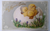 Easter Postcard Fantasy Baby Chick Cracked Egg Flowers Series 422 H Wessler 1909