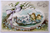 Easter Postcard Fantasy Baby Chicks Rowing Canoe Boat Forget Me Nots Embossed