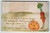 Thanksgiving Postcard Fantasy Vegetable Kingdom Carrot Man JOL Pumpkin Unposted