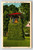 The Bell Tower Lake Junaluska North Carolina Linen Postcard Unused Ivy Leaves