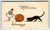Halloween Greeting Card Black Cat Goblin JOL Girl Vintage Original